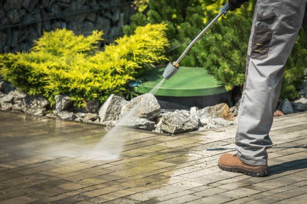 Best Driveway Cleaning and Restoration in Faith, NC