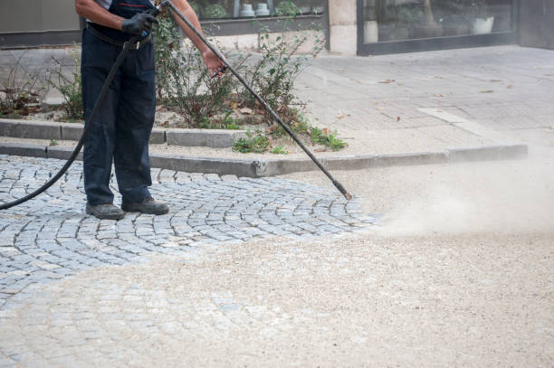 Best Roof Cleaning and Mildew Removal in Faith, NC